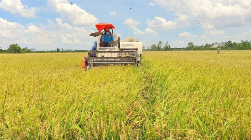 Ultrices sagittis orci a scelerisque purus semper eget duis at. Sollicitudin nibh sit amet.