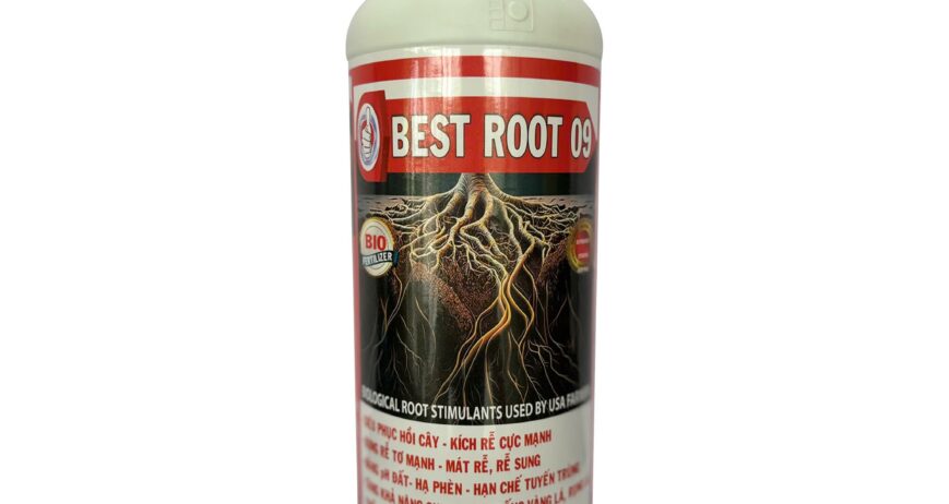 Best Root 09 là phân bón sinh học (Bio fertilizer) được công thức đặc biệt để kích thích bộ rễ phát triển mạnh mẽ. Sản phẩm cải tạo đất toàn diện, giúp cây hấp thụ dinh dưỡng tốt hơn. Đặc biệt hiệu quả trong việc giải độc cho cây khi bị ngộ độc hữu cơ, phèn, mặn, giúp cây phục hồi nhanh sau khi bị ngập úng và tăng cường sức đề kháng cho cây trồng.